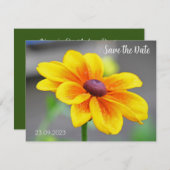 エレガント黄独身のオレンジダリアフラワー救 シーズンカード (正面/裏面)