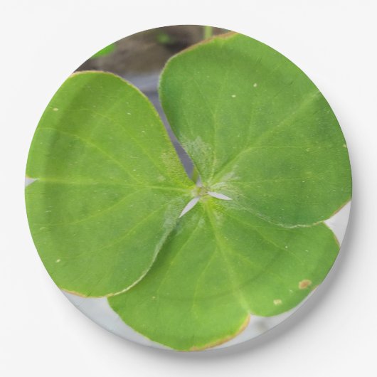 エレガント3枚葉デザイン9インチラウンド ペーパープレート (正面)