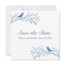 エレガントBluejays on a Branch