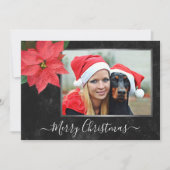 エレガントChalkboard Poinsettiaクリスマスフォト シーズンカード (正面)