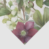 エレガントFreesiaフローラ紫色の水色 薄葉紙 (詳細)