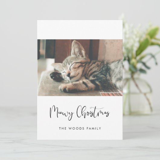 エレガントMeowy Crismas Catの写真 シーズンカード (スタンド正面)