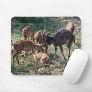 エレガントNyala Antelope野生動物写真 マウスパッド