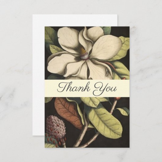 エレガントSage Cream Magnoliaスクリプトフローラ サンキューカード (正面/裏面)