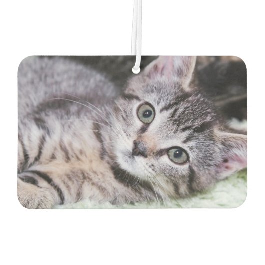 エレガントScript Monogramラベ淡い色のンダー写真 カーエアーフレッシュナー (裏面)