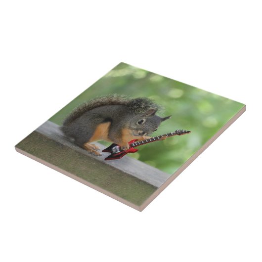 エレキギターを演奏しているリス タイル (側面)