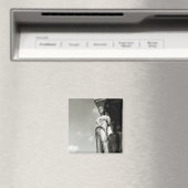 エレキテイオンからの肉配薬の詳細 マグネット (インサイチュ (食洗機))