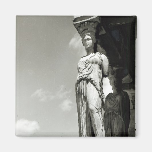 エレキテイオンからの肉配薬の詳細 マグネット (正面)