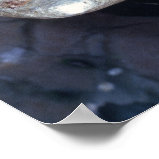 エレクトラムステーター、紀元前600年 ポスター (角)