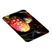 エレクトリックフライアガリン冷蔵庫用マグネット（アマニータ） マグネット (右側)