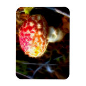 エレクトリックフライアガリン冷蔵庫用マグネット（アマニータ） マグネット (縦)