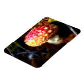 エレクトリックフライアガリン冷蔵庫用マグネット（アマニータ） マグネット (左側)