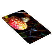 エレクトリックフライアガリン冷蔵庫用マグネット（アマニータ） マグネット (右側)