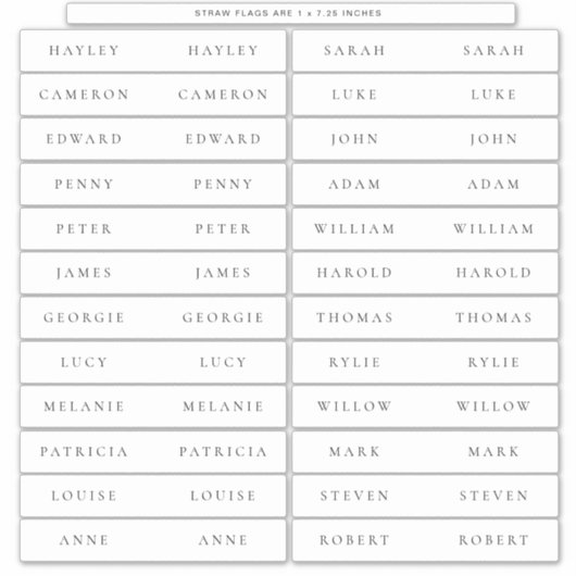 エレズミヤ座席表ストローフラッグドリンクラベル シール (正面)