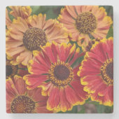 エレニアムナウ開花フローラ ストーンコースター (正面)