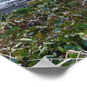 エレノールルーズベルト記念碑 ポスター (角)