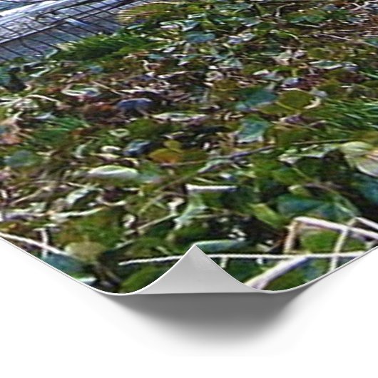 エレノールルーズベルト記念碑 ポスター (角)