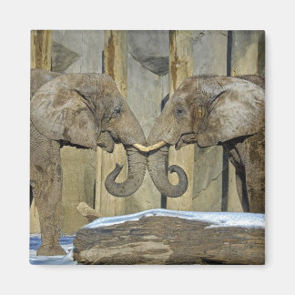 エレパ最高のンツフレンズ磁石 マグネット