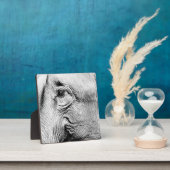 エレファンツ・アイ、2017年 フォトプラーク (インサイチュ)