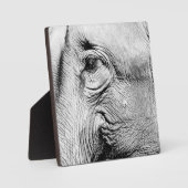 エレファンツ・アイ、2017年 フォトプラーク (正面)