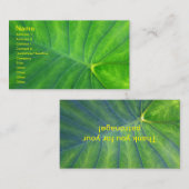 エレファントイヤー – コロカシア 名刺 (正面/裏面)