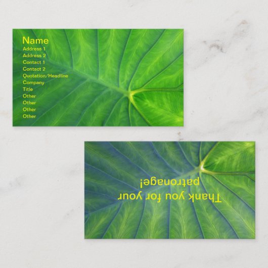 エレファントイヤー – コロカシア 名刺 (正面/裏面)