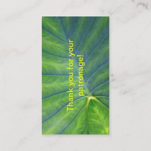 エレファントイヤー – コロカシア 名刺 (裏面)