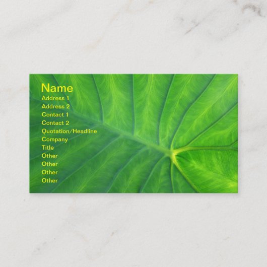 エレファントイヤー – コロカシア 名刺 (正面)