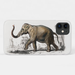 エレファントイラストレーションヴィンテージアートプリント iPhone 11 ケース