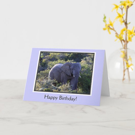 エレファントインツリーズハッピーバースデー カード (黄色い花)