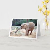 エレファントインパークポートレート カード (黄色い花)