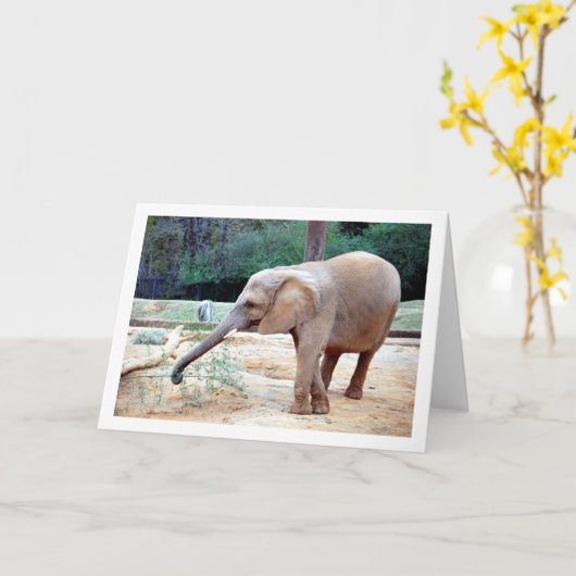 エレファントインパークポートレート カード (黄色い花)