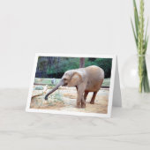 エレファントインパークポートレート カード (正面)