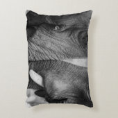 エレファントカップル アクセントクッション (正面(垂直))