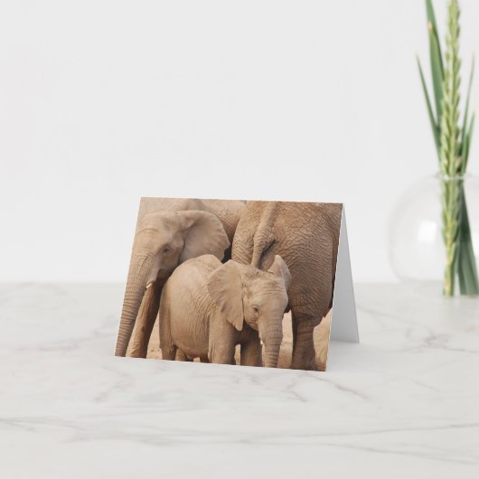 エレファントグリーティングカード空白の- カード (正面)