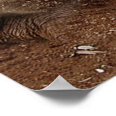 エレファントケーブスキャンバス ポスター (角)