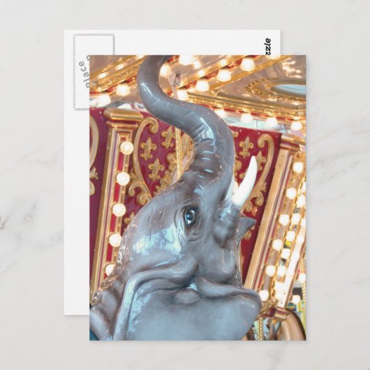 エレファントコーラルリッジモールIA ポストカード (正面/裏面)