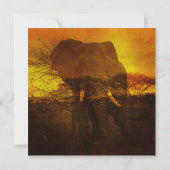 エレファントサファリバースデーパーティー 招待状 (裏面)