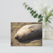 エレファントシールサンシメオン(カリフォルニア) ポストカード (スタンド正面)