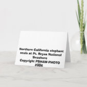 エレファントシールズベローイン調和 カード (裏面)