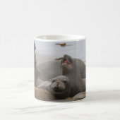 エレファントシールルーカリーサンシメオン(カリフォルニア州) コーヒーマグカップ (中央)