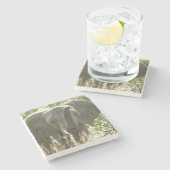 エレファントストーンコースター（フルカラー） ストーンコースター (横)