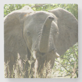 エレファントストーンコースター（フルカラー） ストーンコースター