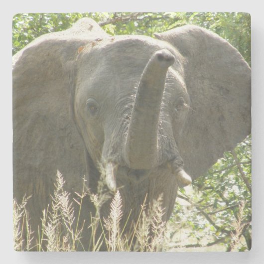 エレファントストーンコースター（フルカラー） ストーンコースター (正面)
