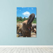 エレファントスリランカ キャンバスプリント (インサイチュ (ウッドフロア))