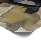 エレファントスリランカ ポスター (角)