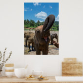 エレファントスリランカ ポスター (キッチン)