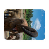 エレファントスリランカ マグネット (横)