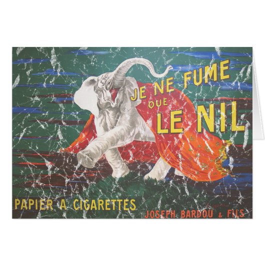 エレファントタバコ–1900 動揺して - (正面横)