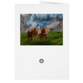 エレファントデュオ絵を描油、誕生日カード (裏面)